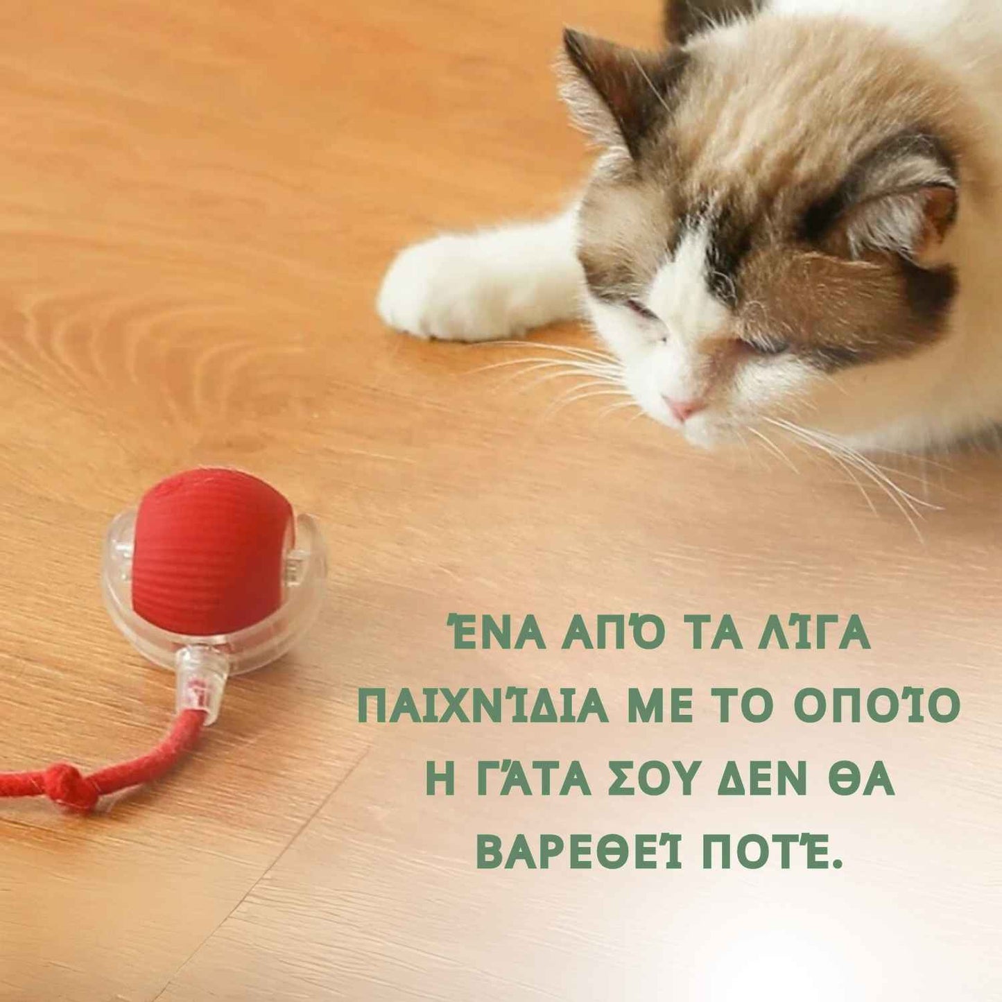 Έξυπνη και διαδραστική μπάλα για τη γάτα σας – Φορτίζει μέσω USB