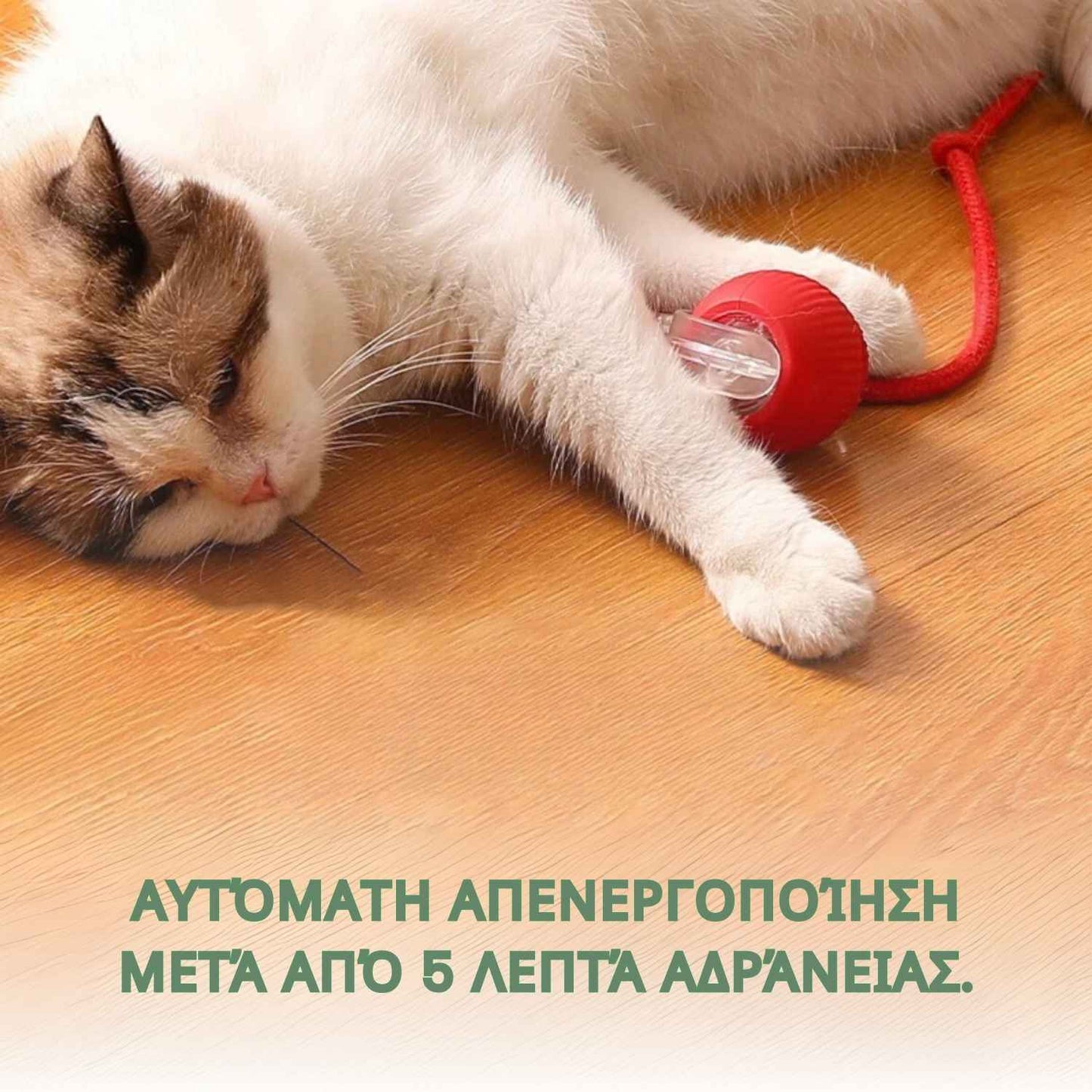 Έξυπνη και διαδραστική μπάλα για τη γάτα σας – Φορτίζει μέσω USB