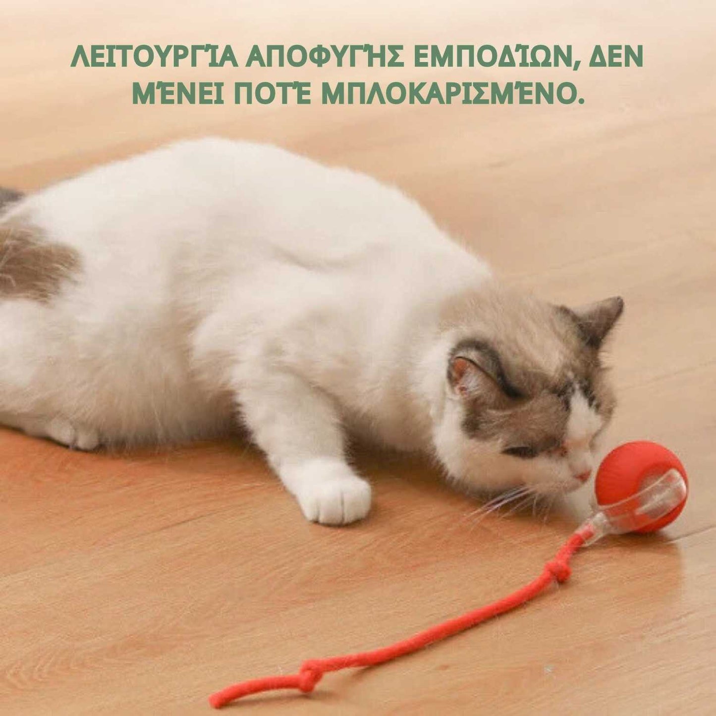 Έξυπνη και διαδραστική μπάλα για τη γάτα σας – Φορτίζει μέσω USB