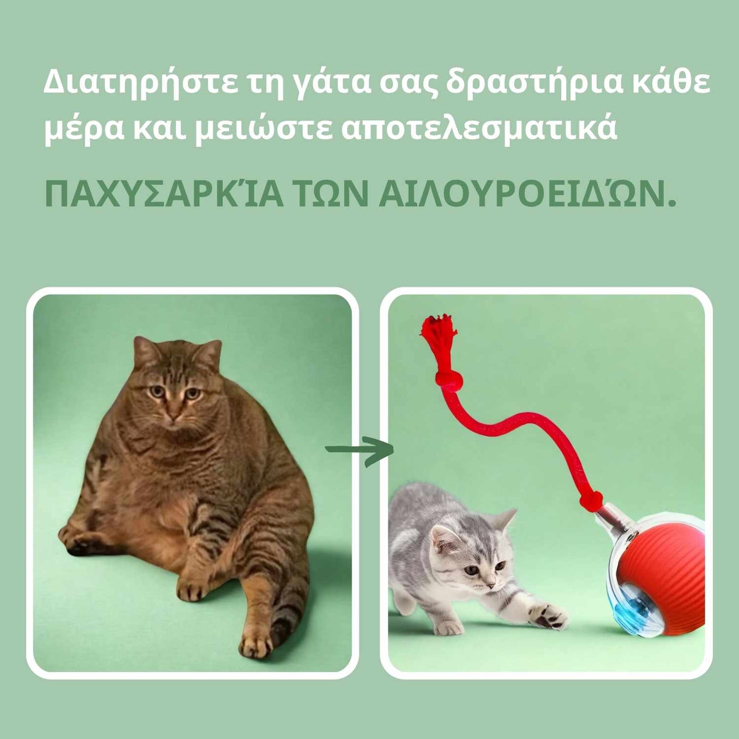 Έξυπνη μπάλα για γάτες, 100% αυτόνομη, σχεδιασμένη να μιμείται πραγματικό θήραμα.