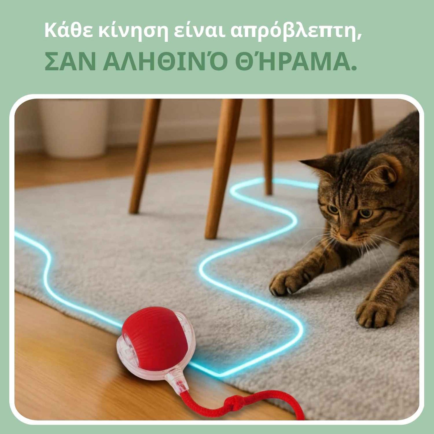 Έξυπνη μπάλα για γάτες, 100% αυτόνομη, σχεδιασμένη να μιμείται πραγματικό θήραμα.