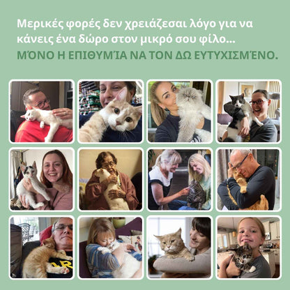 Διαδραστικό παιχνίδι πουλί για γάτες